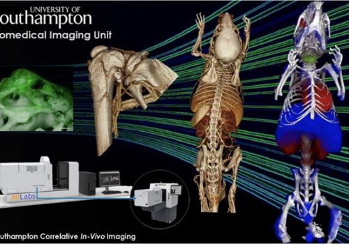 Southampton correlative in vivo imaging