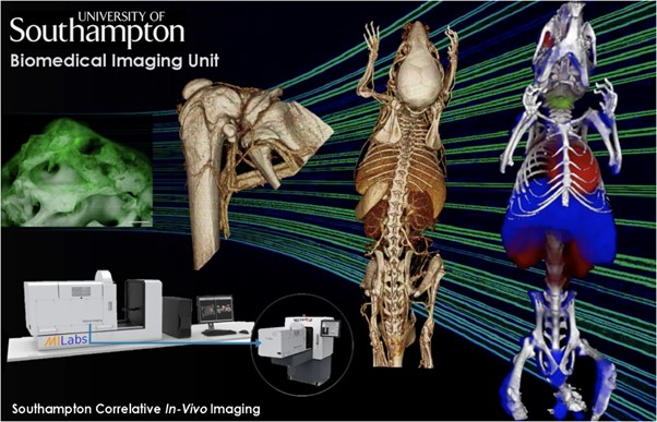 An image of biomedical imaging including animal skeletons