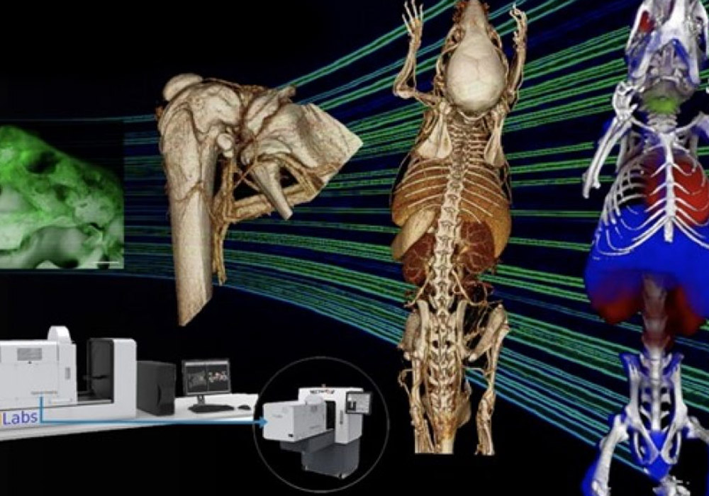 MILabs in vivo hybrid/optical CT scanner